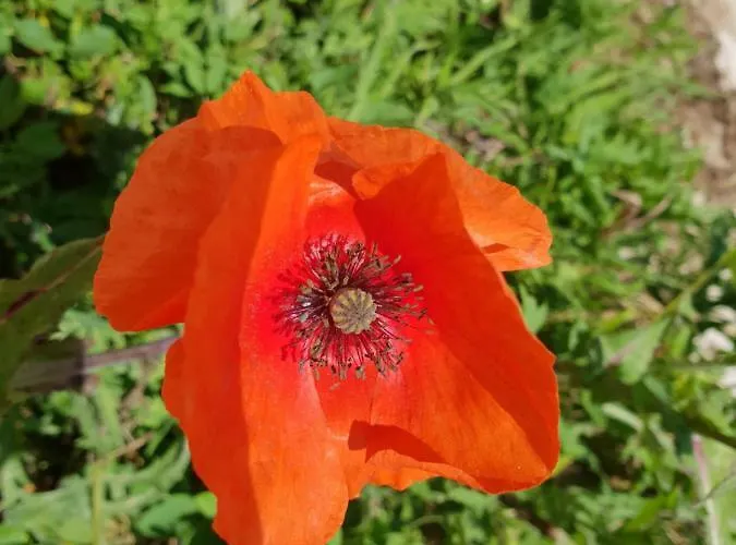 La Cantoniera Сasa de vacaciones