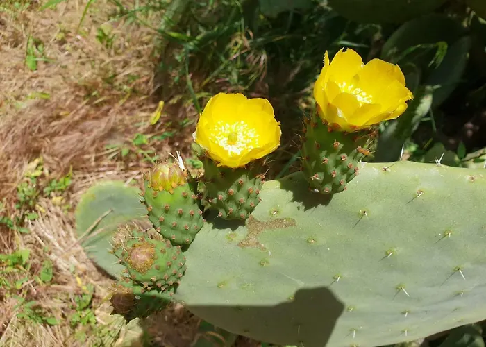 La Cantoniera Сasa de vacaciones